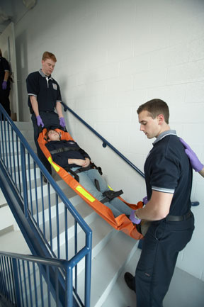 Reeves 101 Flexible Stretcher